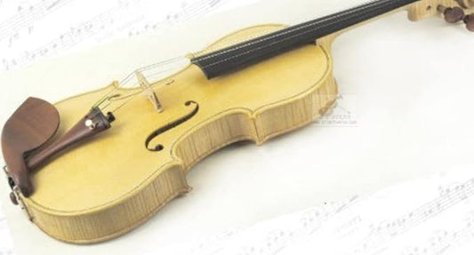 "Blonde" D Z Strad Violin โ Gasparo da Salo 1590, โAdamโ Copy (Limited Edition) Concert Violin 4/4 Full Size Handmade with Dominant Strings, Case, Bow, Shoulder Rest and Rosin