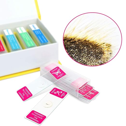 35PCS Prepared Microscope Slides with 7 Types Specimens, Insect/Plant Glass Sample Slide for Kids Adults Family Preschool Education Scientific Enlightenment