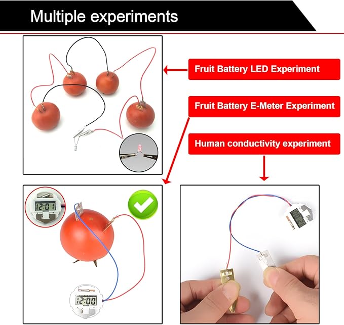 EUDAX Fruit Battery Science Experiment Kit for DIY School Home Teaching Equipment, Orange Lemon Potato Electronic Clock Science Project Kit Physics Educational for Students Teachers (4 Set)