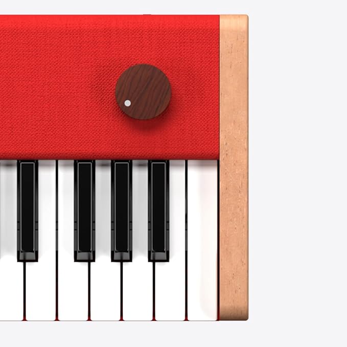 Loog Digital Piano - Portable Keyboard for Beginners with Musician Grade Sound, MIDI Over USB-C Rechargeable Musical Educational Instrument