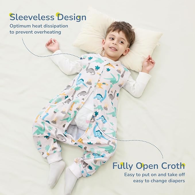 Baby Toddler Sleep Sack with Feet 2.5 TOG Winter, Wearable Blanket with Legs, Toddler Sleeping Sack Long Sleeve (Dinosaur, 12M-2T)
