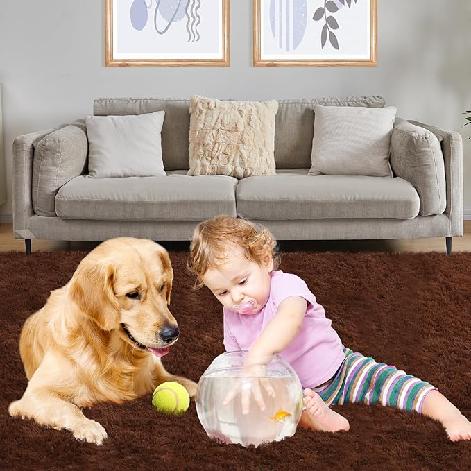 Luxury 3x5 Area Rug, Ultra Soft Rugs for Living Room, Plush Carpet Rugs for Bedroom, Non-Slip Indoor Rug for Nursery, Study Room, Playroom, Home Decor, Brown
