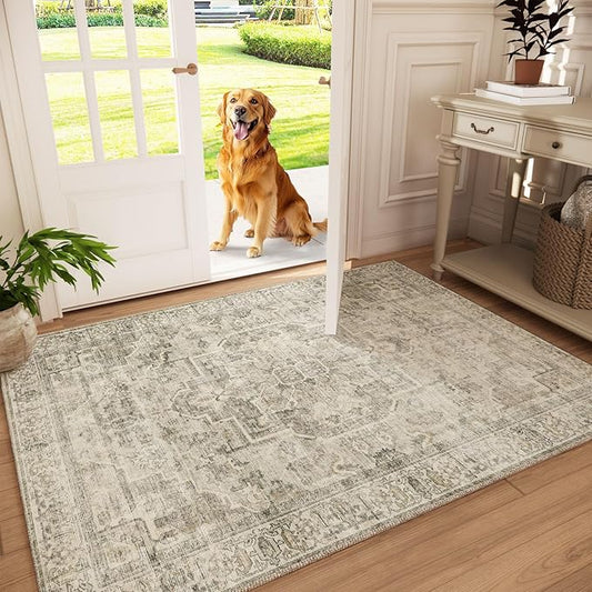 Machine Washable Throw Rugs for Entryway: Door Mat Indoor Entrance 3x5 Small Rug Stain Resistant Non-Slip Low Pile Soft Carpet for Kitchen Front Door Indoor Entry Bathroom Bedroom